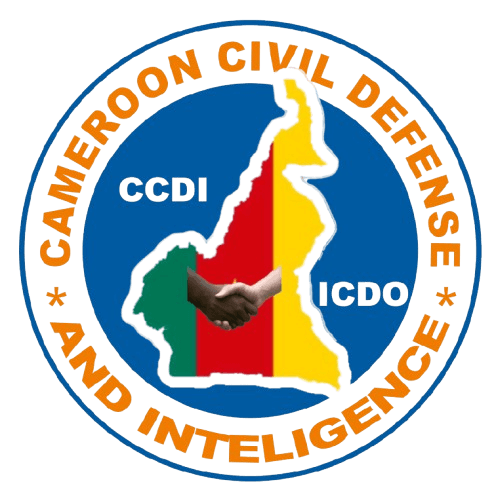 CAMEROUN CIVIL DEFENSE AND INTELLIGENCE